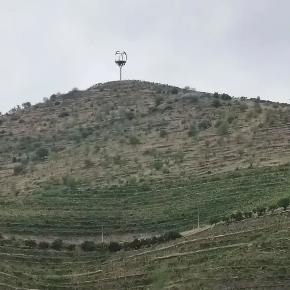 Vinhas em socalcos numa encosta do vale do Douro